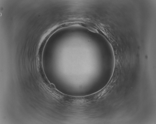 X0000068830342200605051242