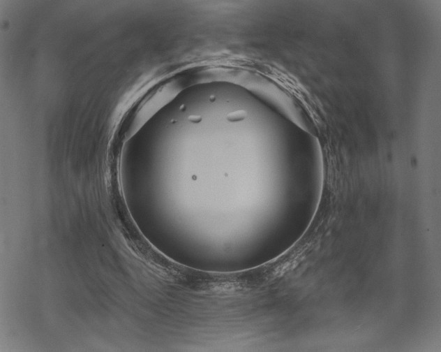 X0000068830344200605051242