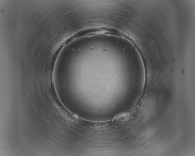 X0000068830345200605051242