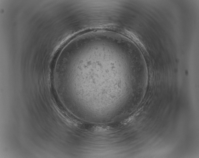 X0000068830346200605051242