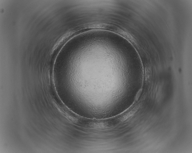 X0000068830349200605051242