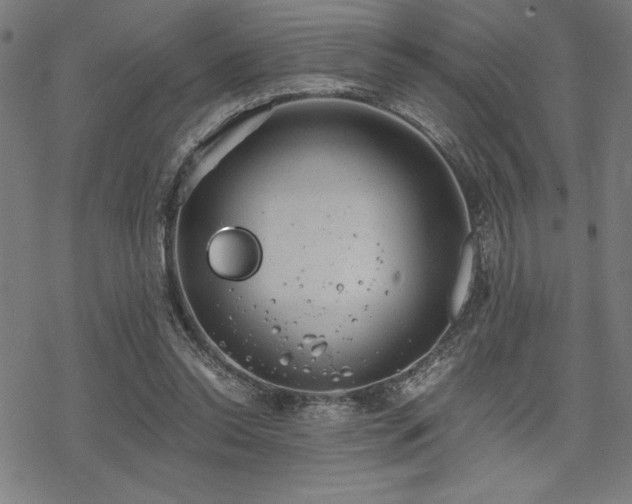 X0000068830350200605051242