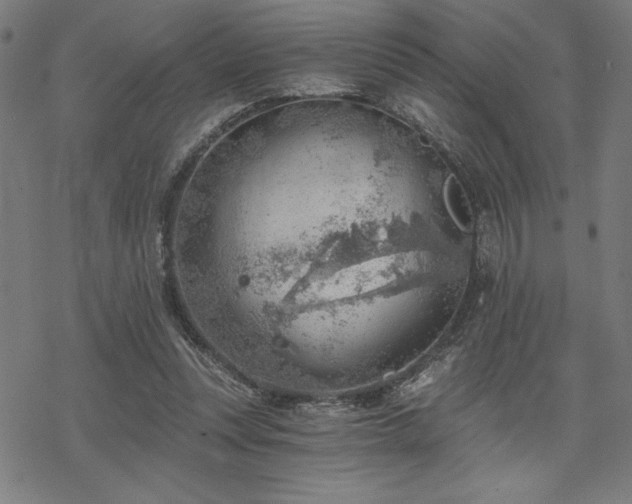 X0000068830351200605051242