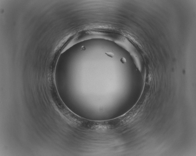 X0000068830352200605051242