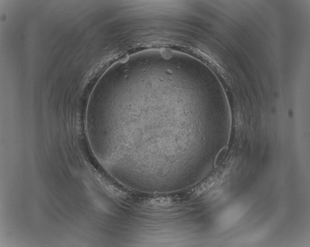 X0000068830353200605051242