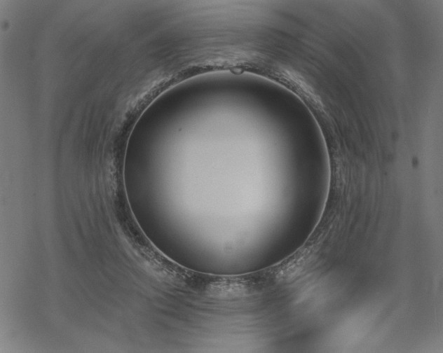 X0000068830354200605051242