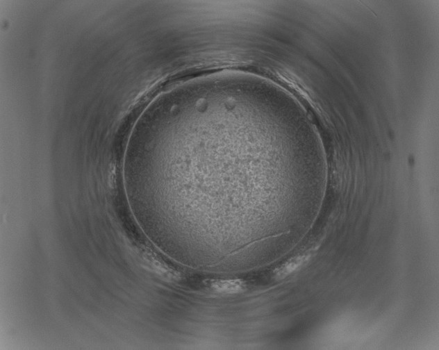 X0000068830355200605051242