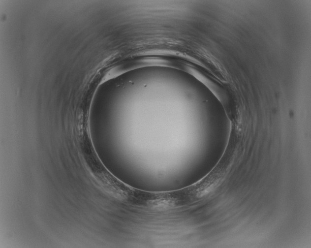 X0000068830356200605051242