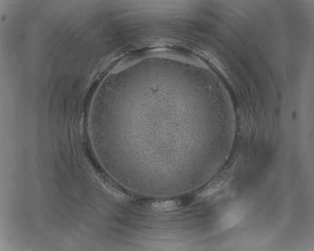 X0000068830357200605051242