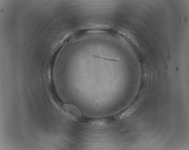 X0000068830358200605051242