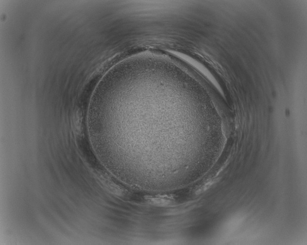 X0000068830359200605051242