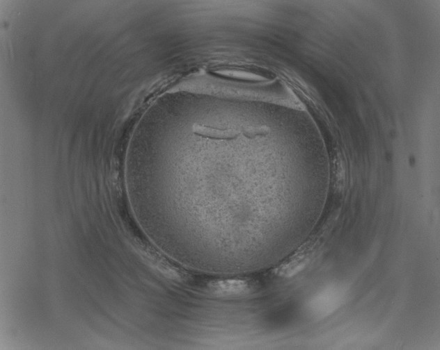 X0000068830361200605051242