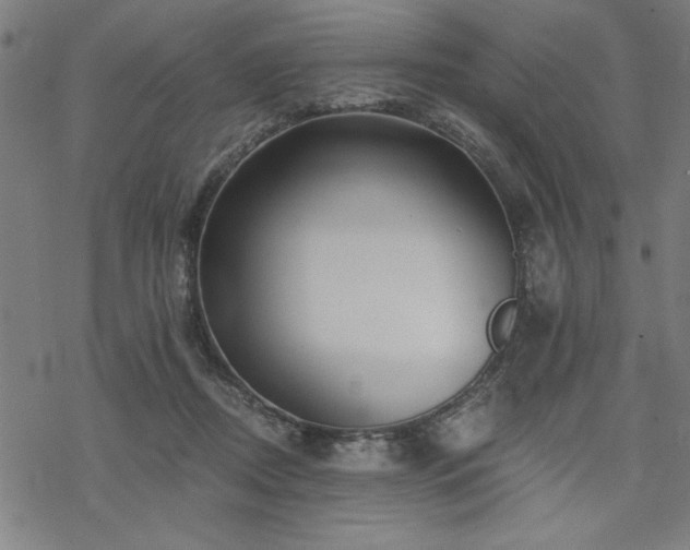 X0000068830362200605051242