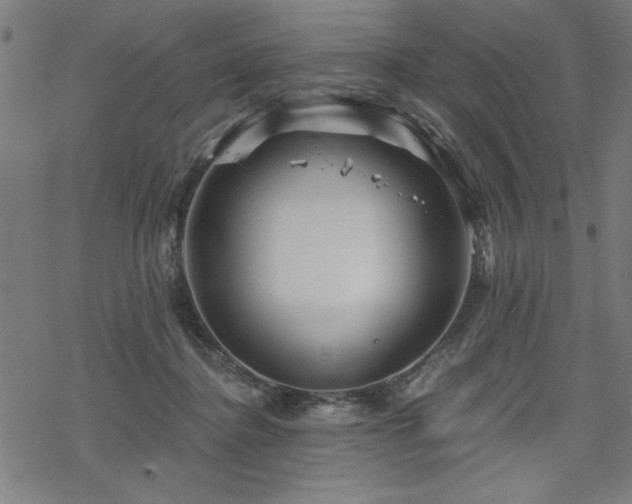 X0000068830364200605051242