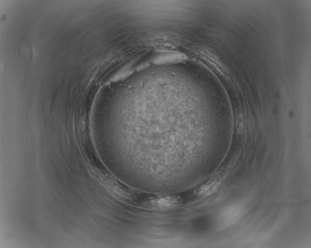 X0000068830365200605051242