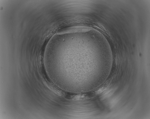 X0000068830366200605051242