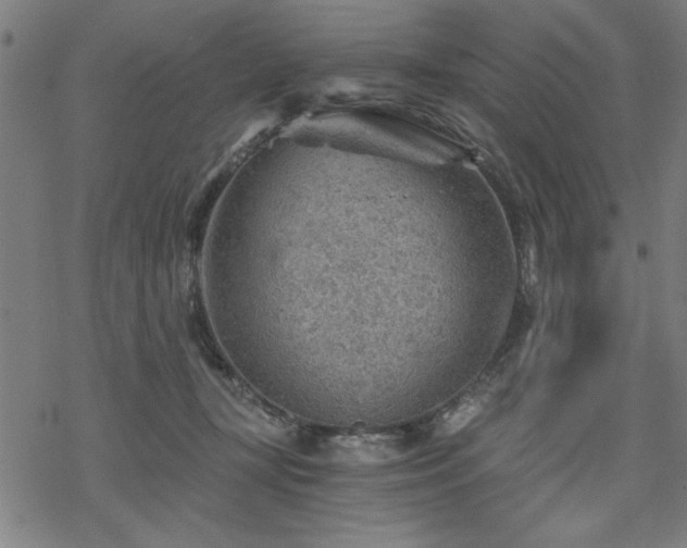 X0000068830367200605051242