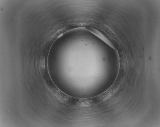 X0000068830368200605051242