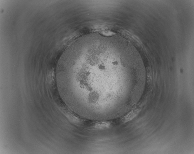 X0000068830369200605051242