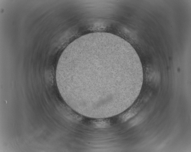 X0000068830370200605051242