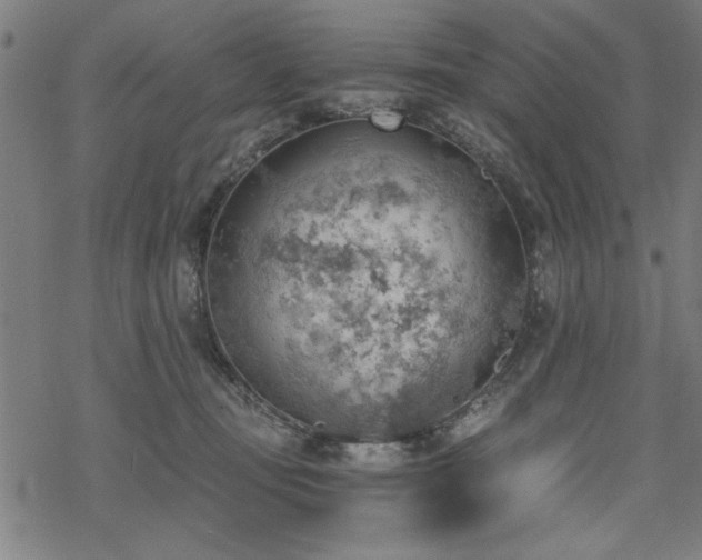 X0000068830371200605051242