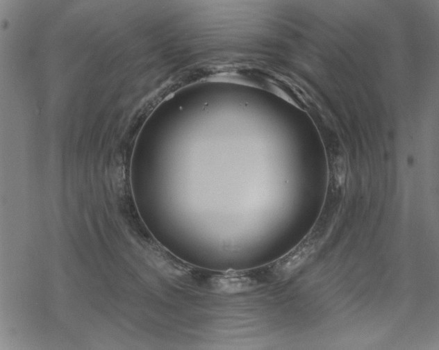 X0000068830372200605051242