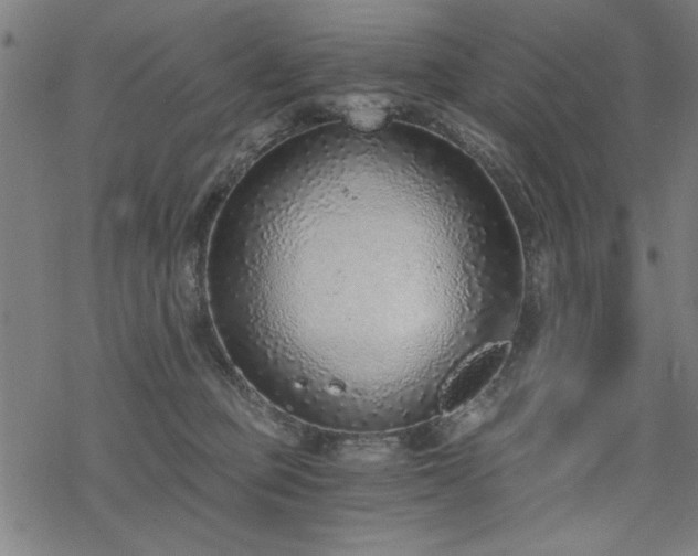 X0000068830373200605051242