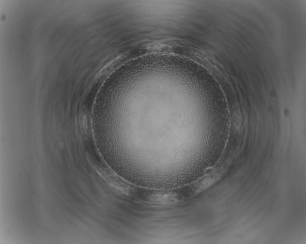 X0000068830375200605051242