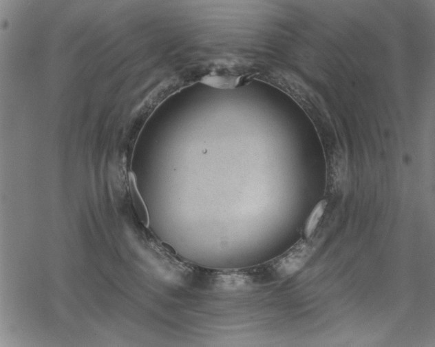 X0000068830376200605051242