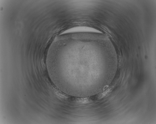 X0000068830377200605051242