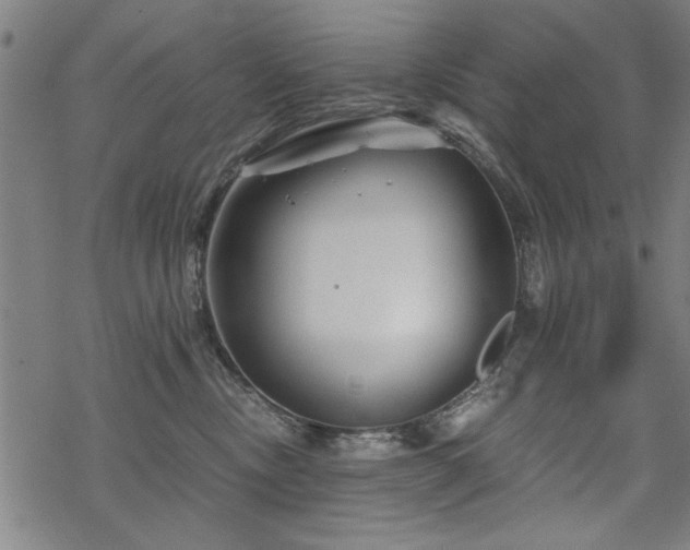 X0000068830378200605051242