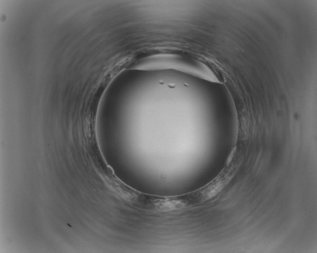 X0000068830379200605051242