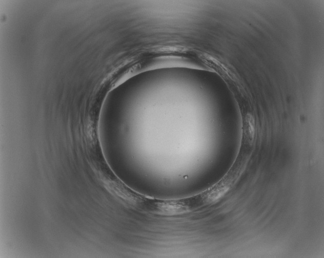 X0000068830380200605051242