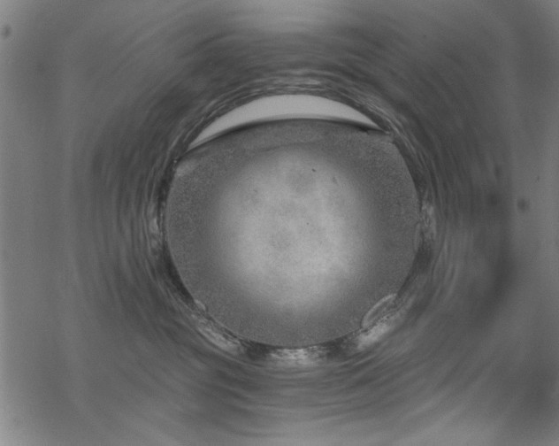 X0000068830381200605051242