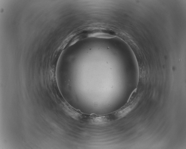 X0000068830382200605051242