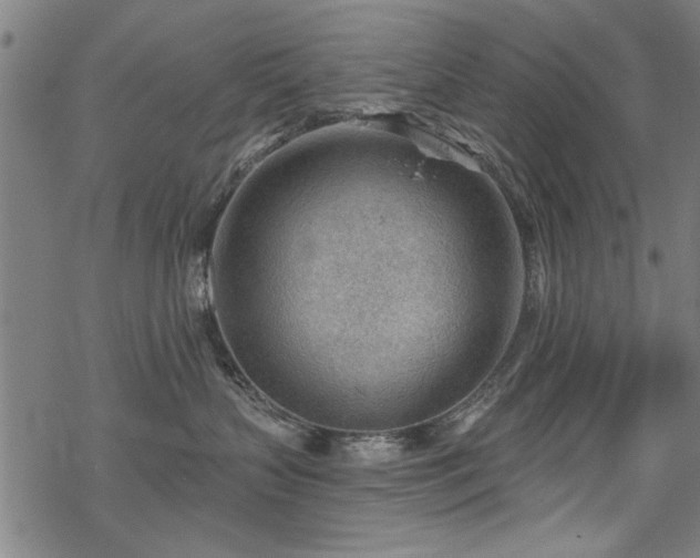 X0000068830383200605051242