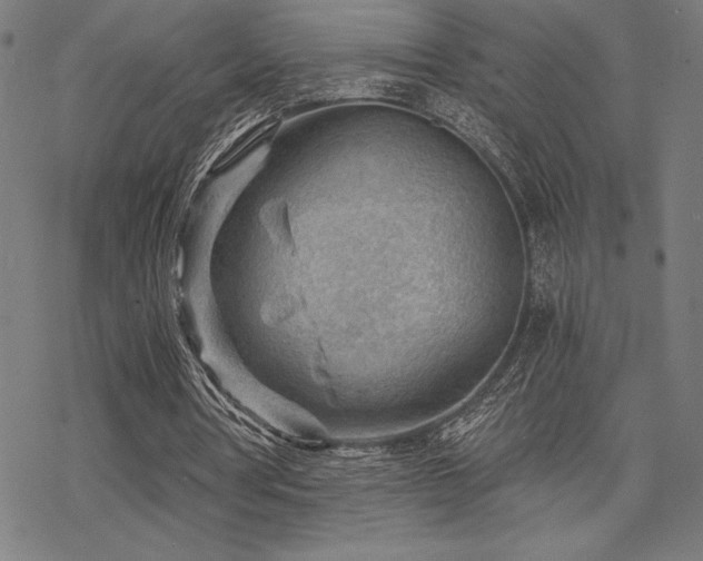 X0000068830386200605051242