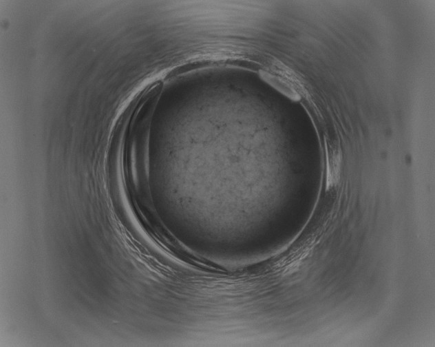 X0000068830387200605051242