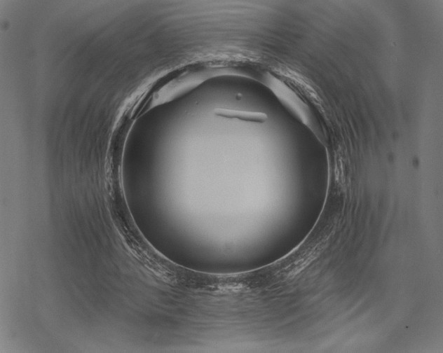 X0000068830388200605051242