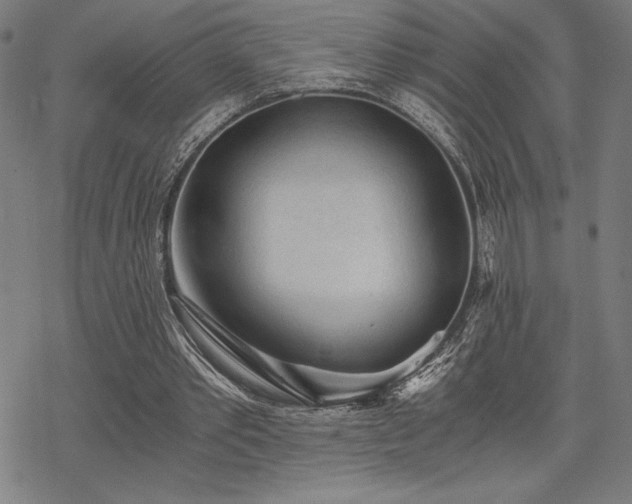 X0000068830389200605051242