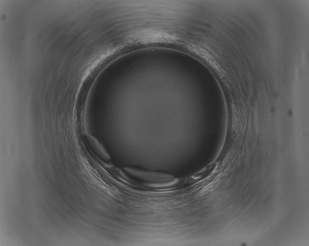 X0000068830391200605051242