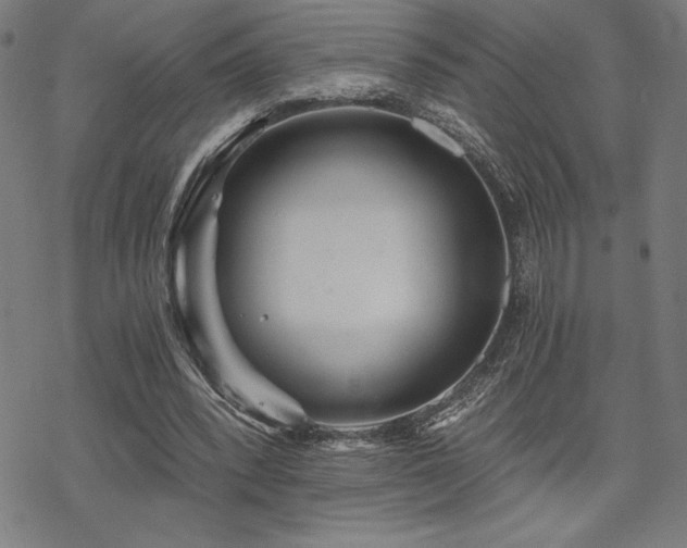 X0000068830392200605051242