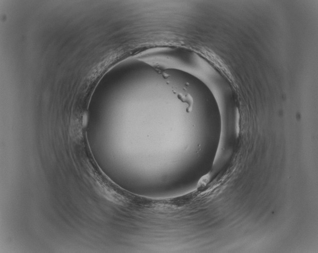 X0000068830393200605051242