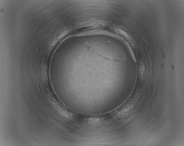 X0000068830394200605051242