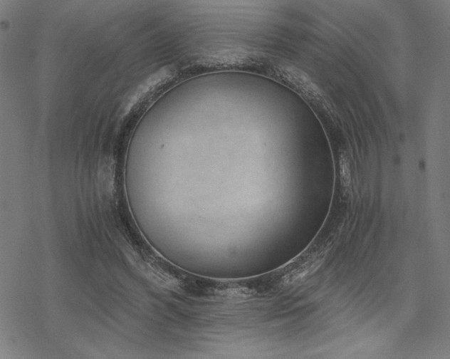 X0000068830396200605051242