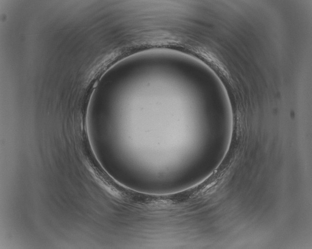 X0000068830397200605051242