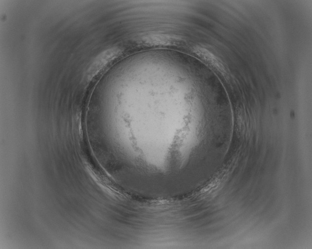 X0000068830398200605051241