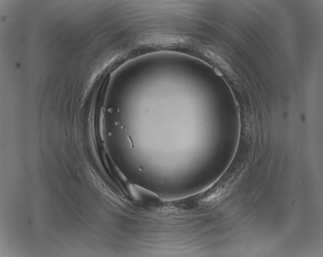 X0000068830399200605051241