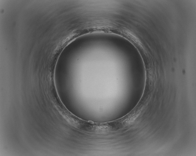 X0000068830401200605051241