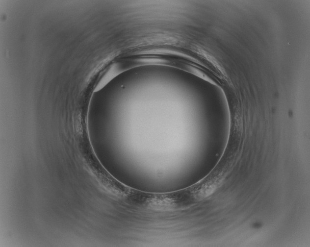 X0000068830403200605051241